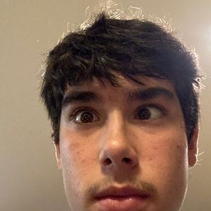 Meet your Posher, Bob